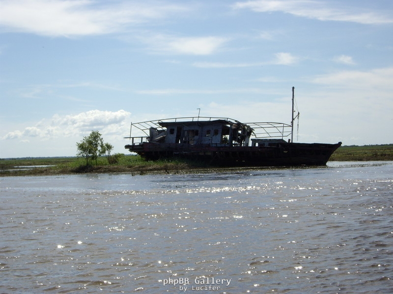 Shady Boat Wreck.