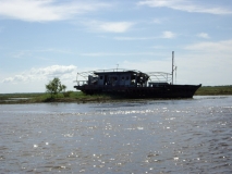 Shady Boat Wreck.