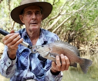 Adelaide River Coal Grunter