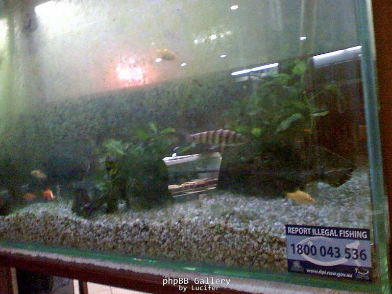Signs of Illegal Indoor Fishing