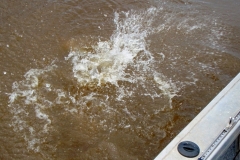 Finniss Runoff (April 2009)