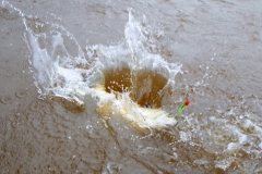 Finniss Runoff (April 2009)