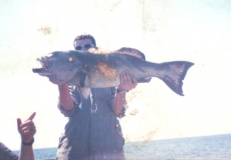 monster trout