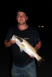 barra at daly and south alligator culbvert last wet