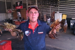 IMAG0081