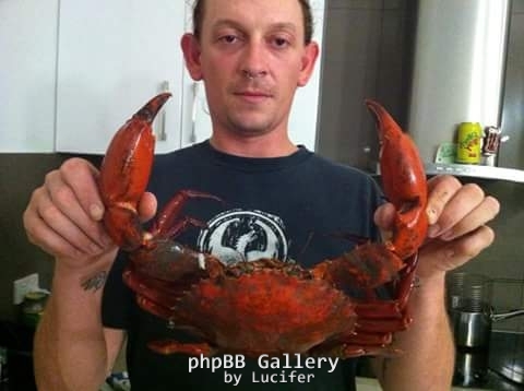 a few from last year.