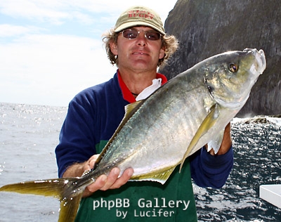 Lord Howe Island trevally