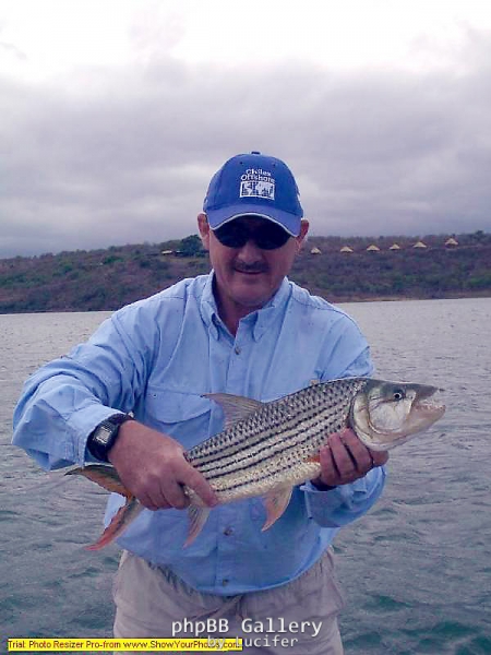 South African Tiger Fish