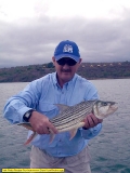 South African Tiger Fish