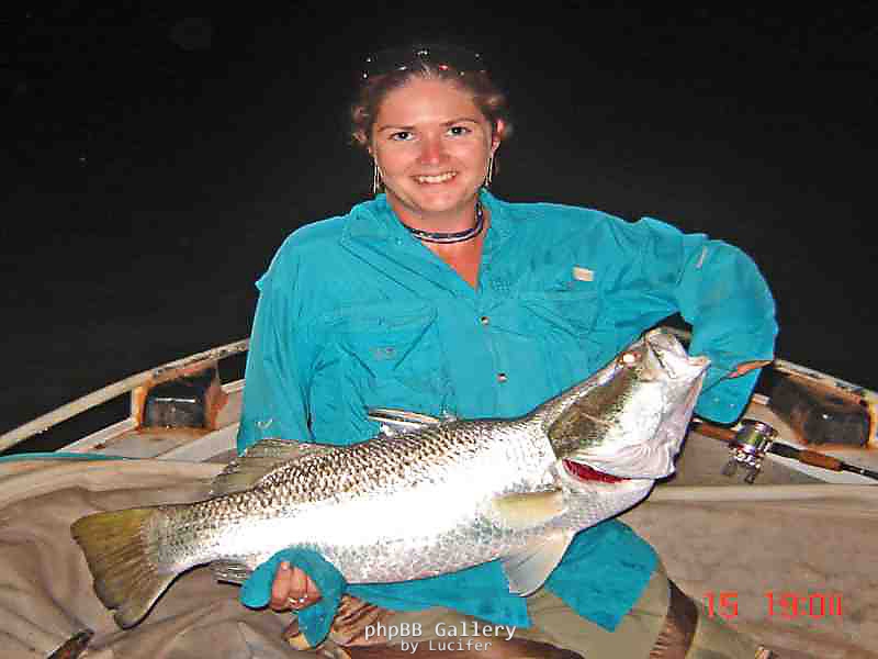 80cm Daly Barra