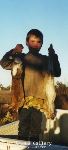 shot rabbits